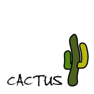 Cactus Watches