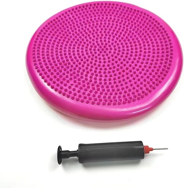 Wobble Cushion |assorted colours
