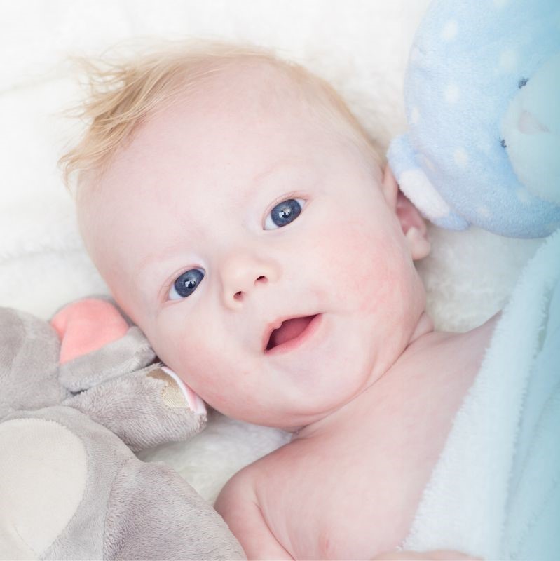 Twigs Toy Boutique Online Toy Store