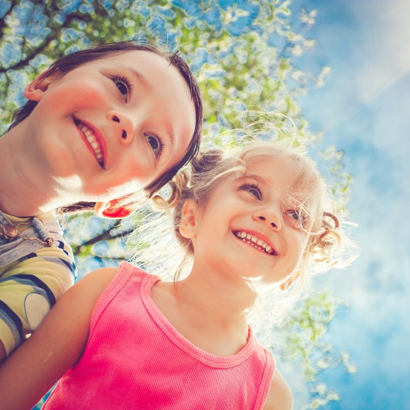 Twigs Toy Boutique Online Toy Store